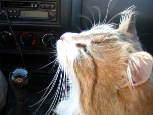 on ze road - 24.7 ko